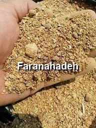 قیمت کنجاله سویا ارژانتین