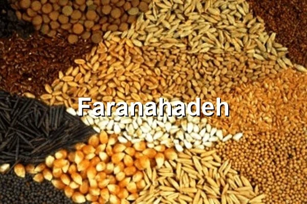 قیمت کنجاله سویا در بازارگاه