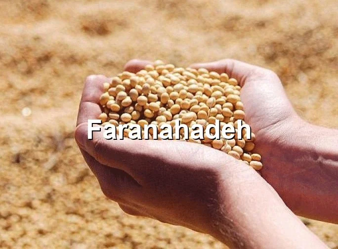 قیمت کنجاله سویا عمده
