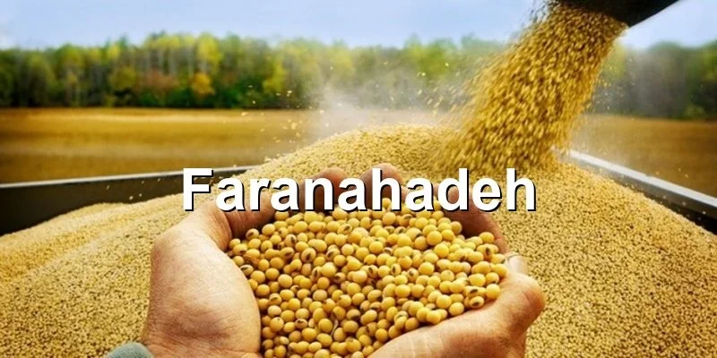 قیمت کنجاله سویا عمده