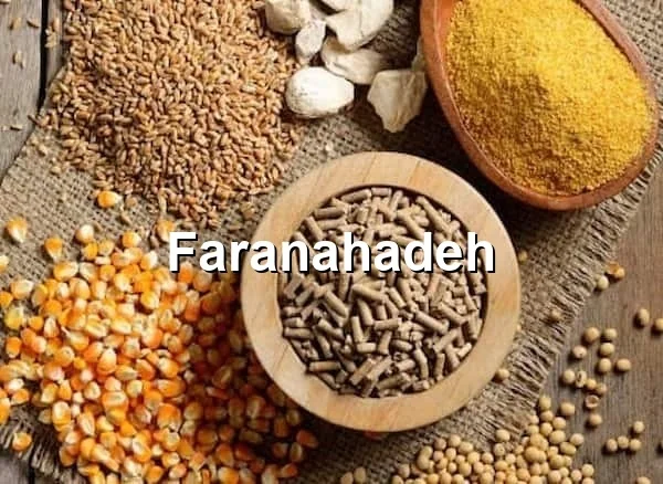 قیمت کنجاله کلزا کرمانشاه