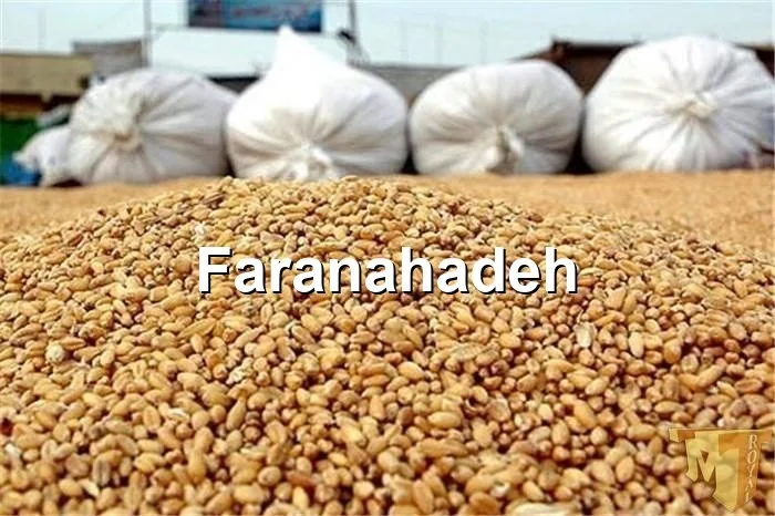 مراحل واردات ذرت دامی