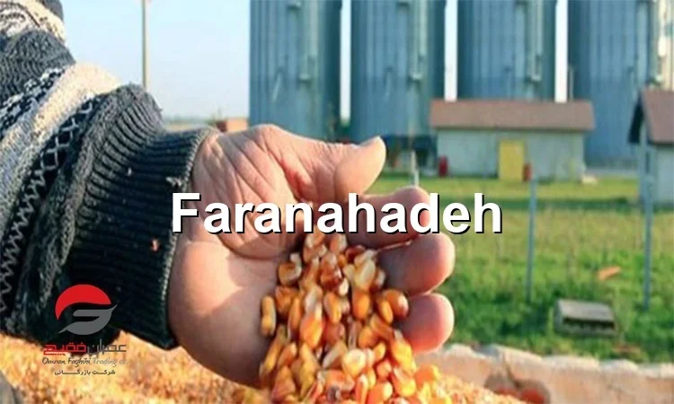 مراحل واردات ذرت دامی