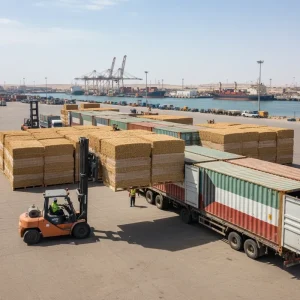 صادرات کاه نخود به کویت