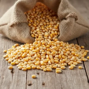 قیمت ذرت عمده