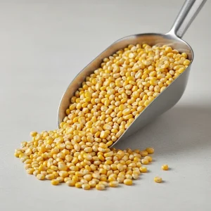 قیمت فروش ذرت